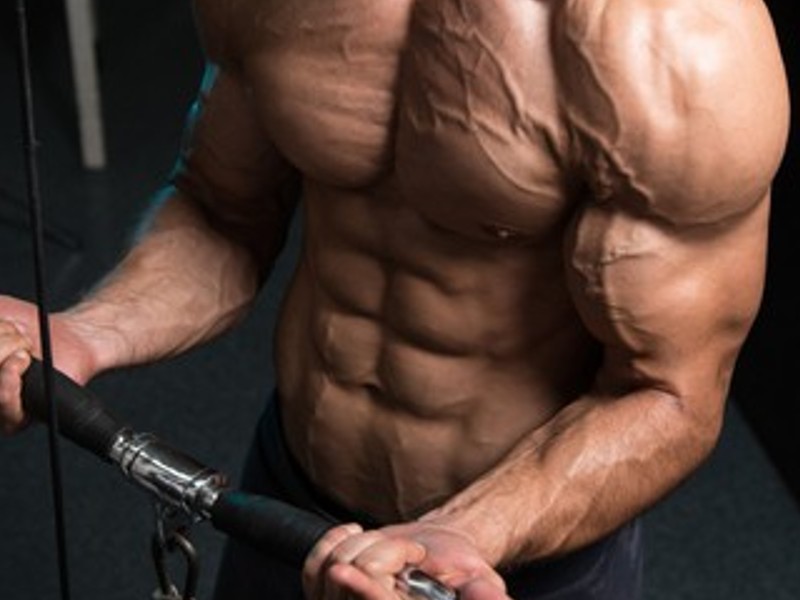 Biceps brachii mišić u ruci