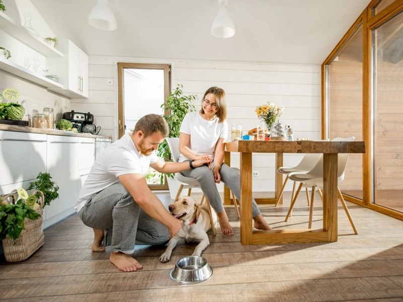 Lososovo ulje za pse